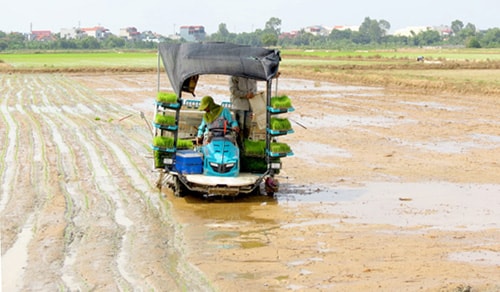 Bình Giang đẩy mạnh cơ giới hóa nông nghiệp